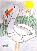 Polyáková Romana.jpg